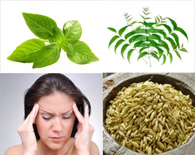 Ayurvedic herbs for lungs & sinusitis remedies have anti-allergic