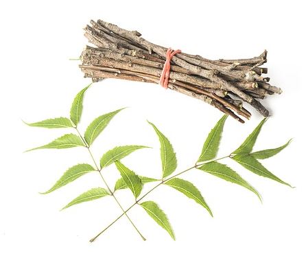 Ayurvedic herbs help you boost the immune system naturally. Natural herbs such as ashwagandha
