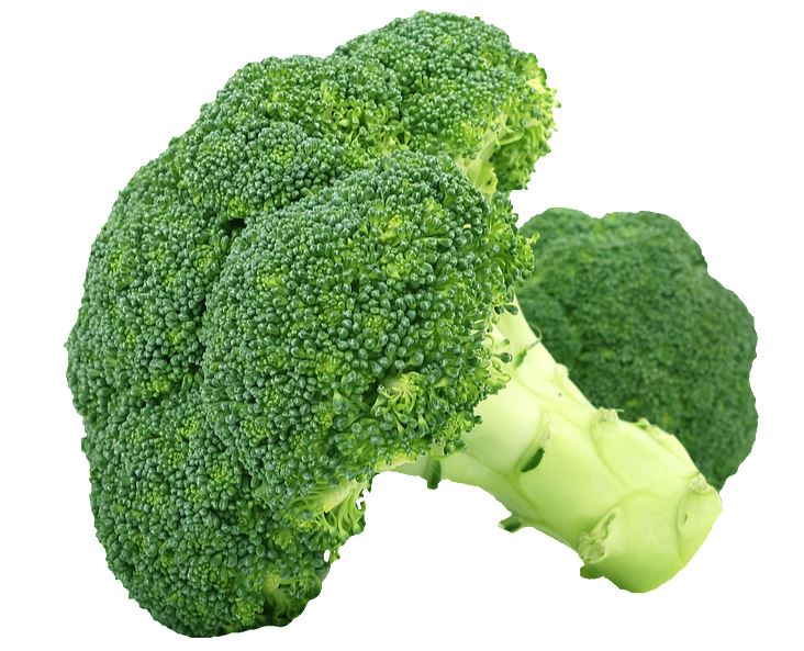 Broccoli is an all-star food with many health benefits. Broccoli may help fight cancer