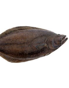 Halibut fish is rich in omega-3-fatty acids and is a good source of Vitamin B6