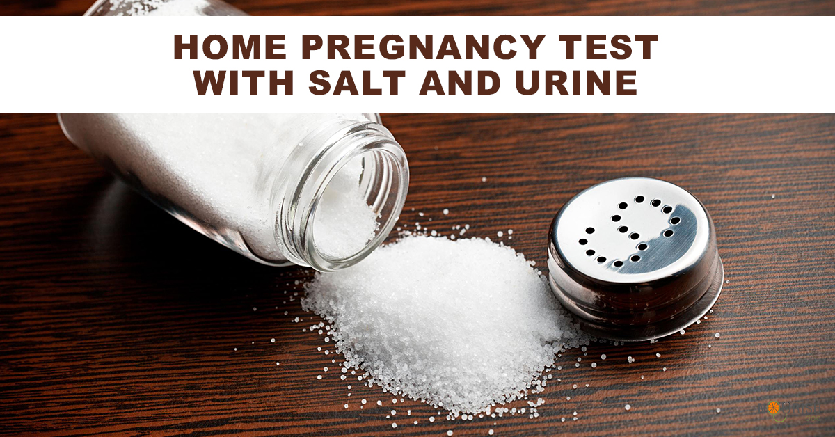 Home Pregnancy Test With Salt Urine