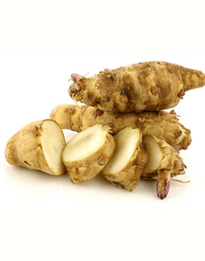 Jerusalem Artichoke tubers are rich in non-starchy carbohydrates inulin