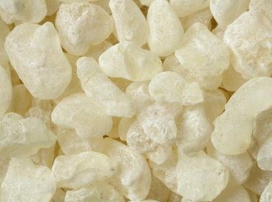 Mastic Gum: What Are the Benefits and Risks