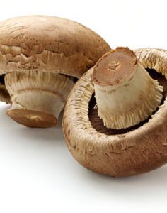 Mushrooms are high in antioxidants