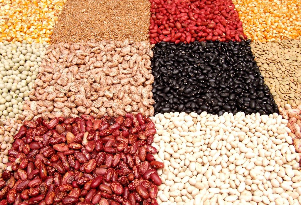 Research suggests eating healthy protein sources such as beans