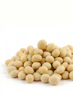 Health benefits of Soybeans in nutrition as natural medicine supported by science & research
