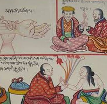 tibetan medicine