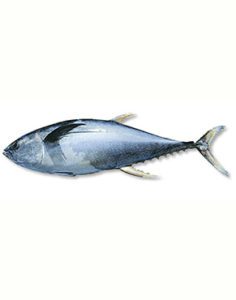Health benefits of Tuna in nutrition as natural medicine supported by science & research