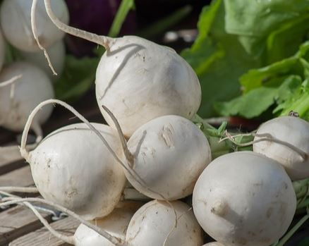 Turnips are rich in nutrients and low in calories. Health benefits include a healthier heart