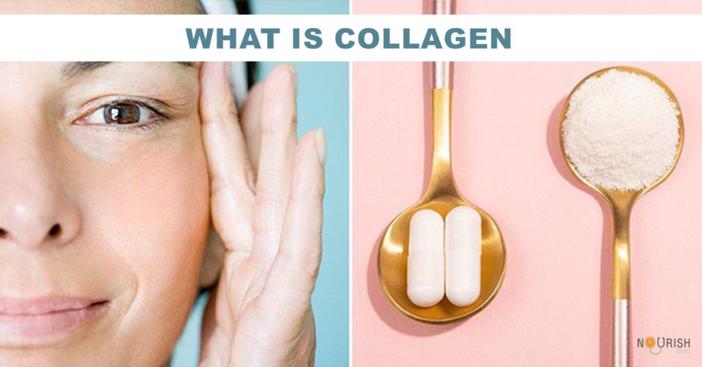 Collagen is the protein in your body that gives structure to your bones