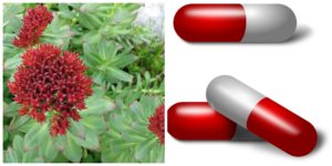 Rhodiola Rosea An Effective Treatment Option For Major Depression