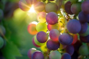 grapes and diabetes