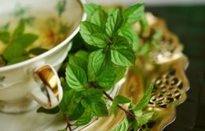 spearmint tea pcos